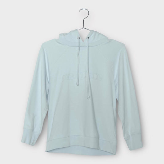 Baby Blue Reverse Embroidered Hoodie